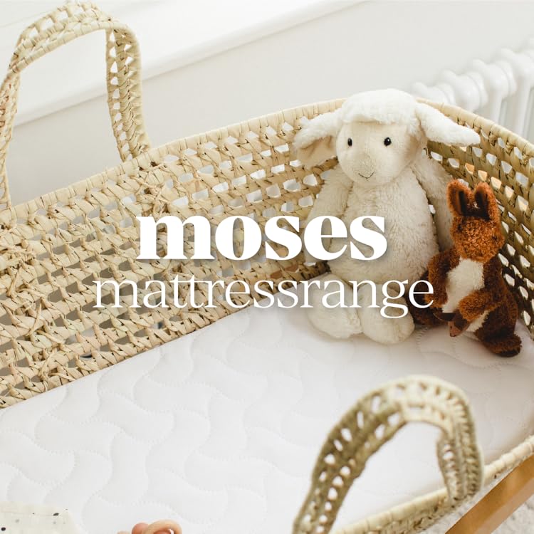 Materassi per cesta Moses Mother Nurture